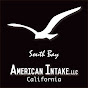 AMERICAN INTAKE,LLC アメリカンインテイク