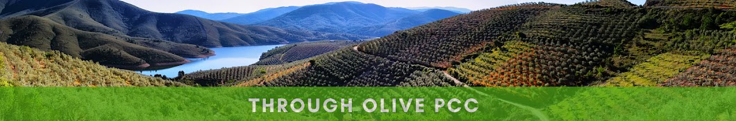 THROUGH OLIVE PCC - Greek olive oil products