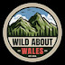 Wild About Wales