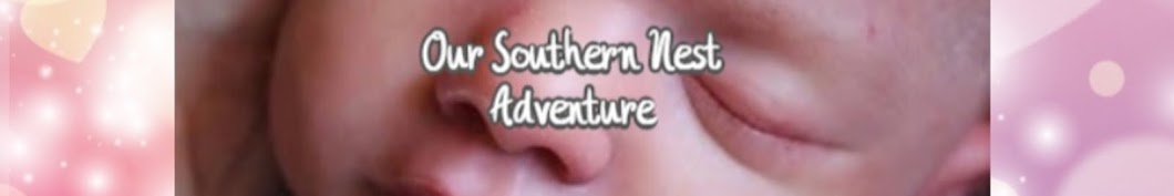 Our Southern Nest Adventure Banner