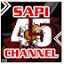 Sapi45 channel