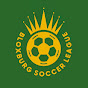 Bloxburg Soccer League