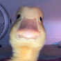 RubrDuck