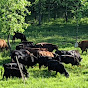 North Pasture Farms GrassFed Meats
