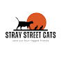 stray street cats