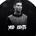 logo yed edits