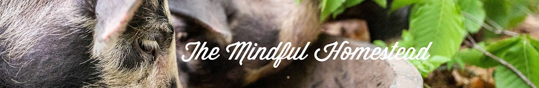 The Mindful Homestead Banner