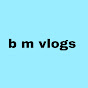 b m vlogs