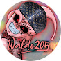 Waldo205_