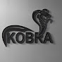 Kobra Vizion Academy