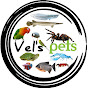 Vel's Pets