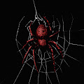 Artist Thumbnail