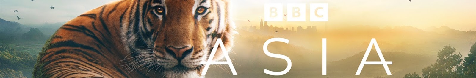 BBC Earth