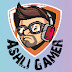 Ashli Gamer