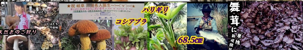 キリークロイの山菜きのこチャンネル