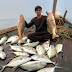 logo Bablu Solkar fishing