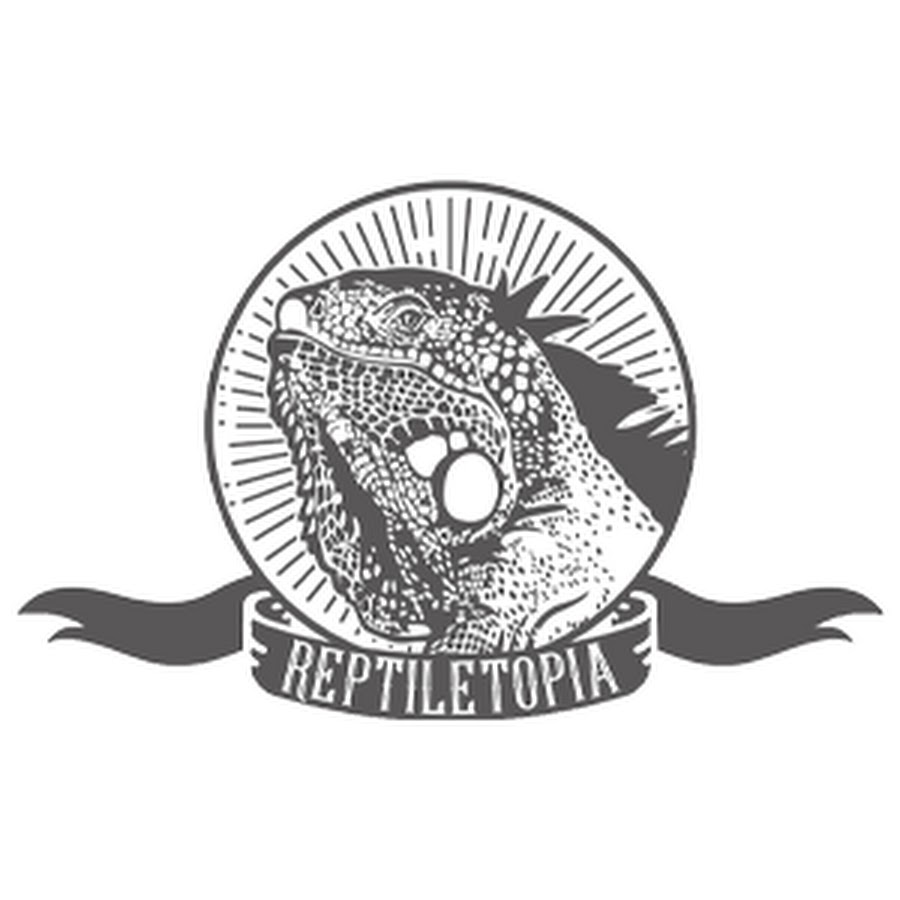REPTILETOPIA @reptiletopia
