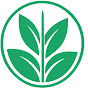 productores agrícolas de San Damián