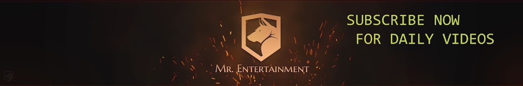 Mr. Entertainment Banner