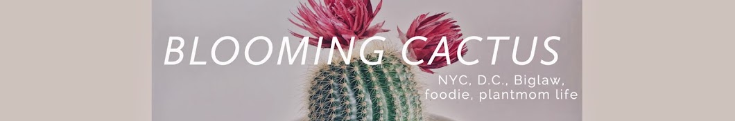 Blooming Cactus 블루밍선인장