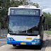 Sydney Buses And Trains Fan 804