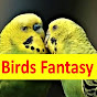 Birds Fantasy