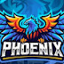 PHOENIX GAMING 