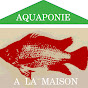 Aquaponie à la Maison