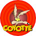 Coyotte