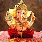 Ganesh Youth