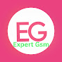 Expert GSM 