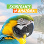 EXUBERANTE DA AMAZÔNIA