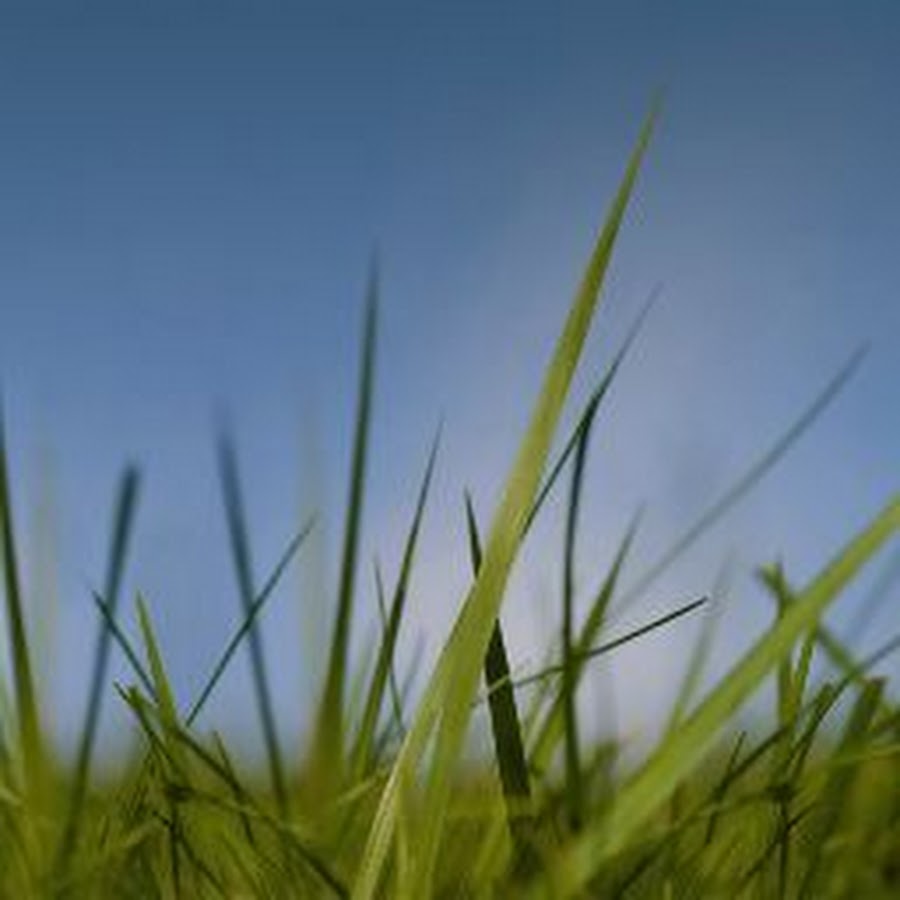 Nokia трава