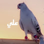 علي للطيور 🕊️🕊️