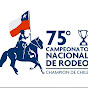 Champion de Chile