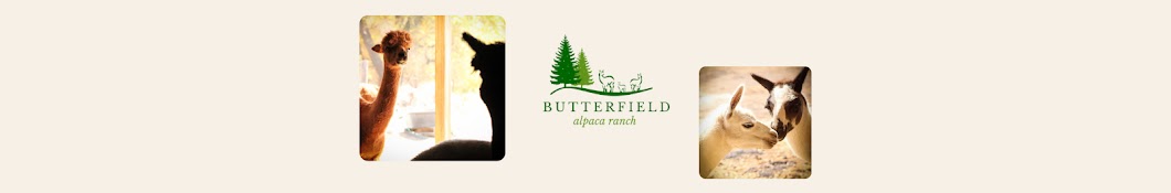 Butterfield Alpaca Ranch Banner