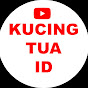 Kucing Tua ID