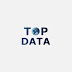 logo Top Data