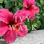 IVYWALK