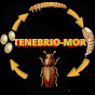 TENEBRIO-MOR com Sandra Brito