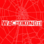 WACHOKONOZI