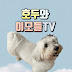 호두와이모들TV