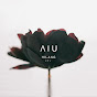 AIU - Topic