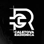 Ćaletova Radionica