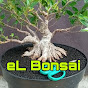 eL Bonsai