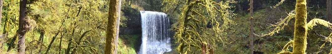 Oregon State University - College of Forestry