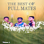 PULL MATES - Topic