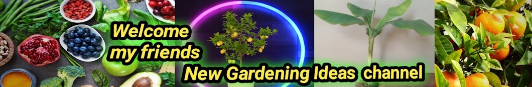 New Gardening Ideas