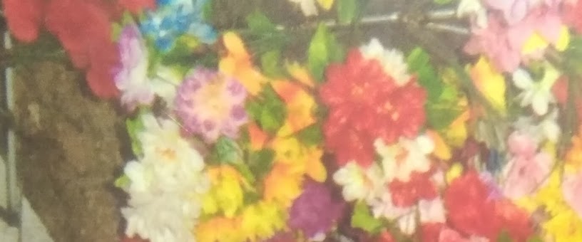 Artist Thumbnail