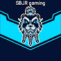 SBJR gaming